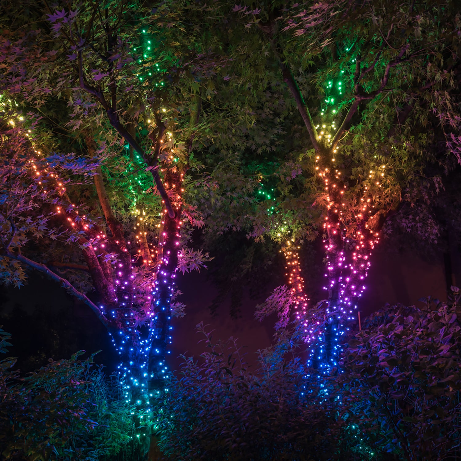 Micro Cluster Éclairage de Noël 1000 LED 20m Multicolor