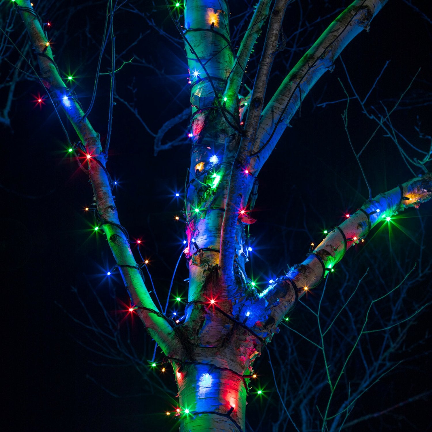 Guirlande lumineuse d'extérieur programmable 96 LED Multicolore sur 7  mètres - Guirlandes lumineuses pour extérieur - Décomania