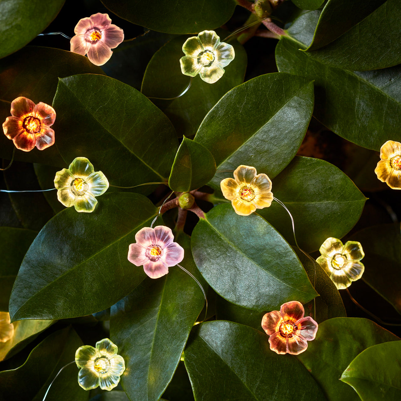 Guirlande Lumineuse de Fleurs de Rose à LED, 20 Guirlandes de