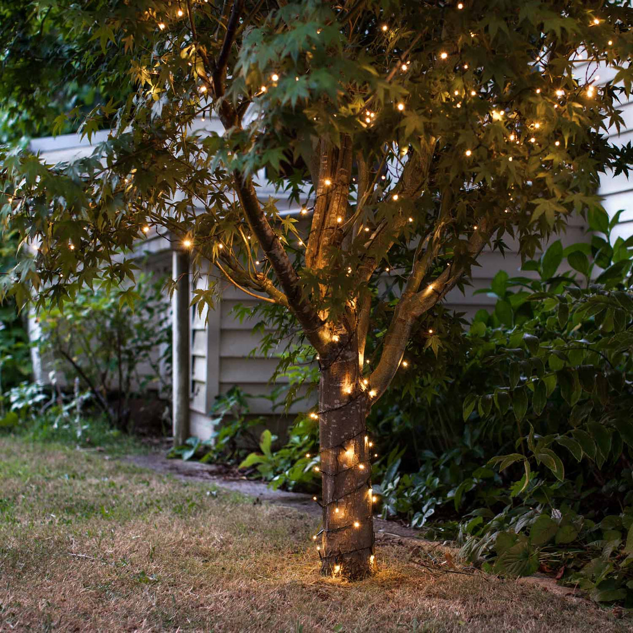 Guirlande lumineuse LED Celina à pile, blanche