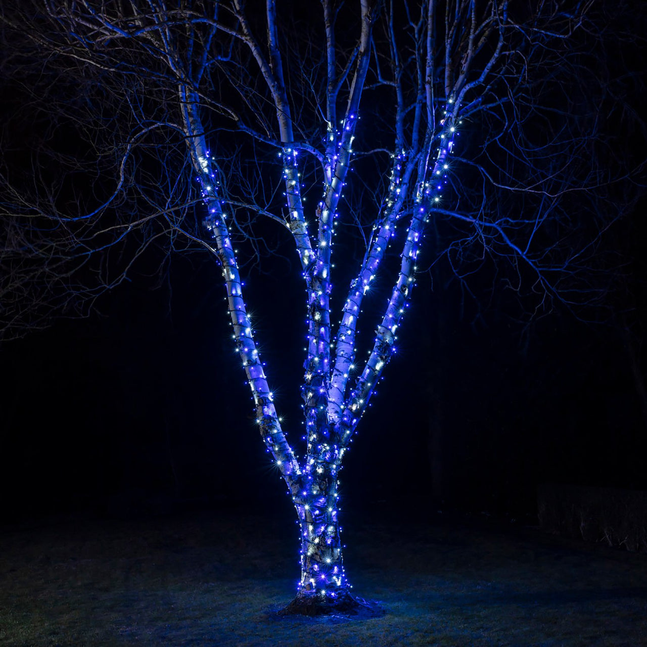 Bleu 3M LED boule de coton guirlande lumineuse extérieure
