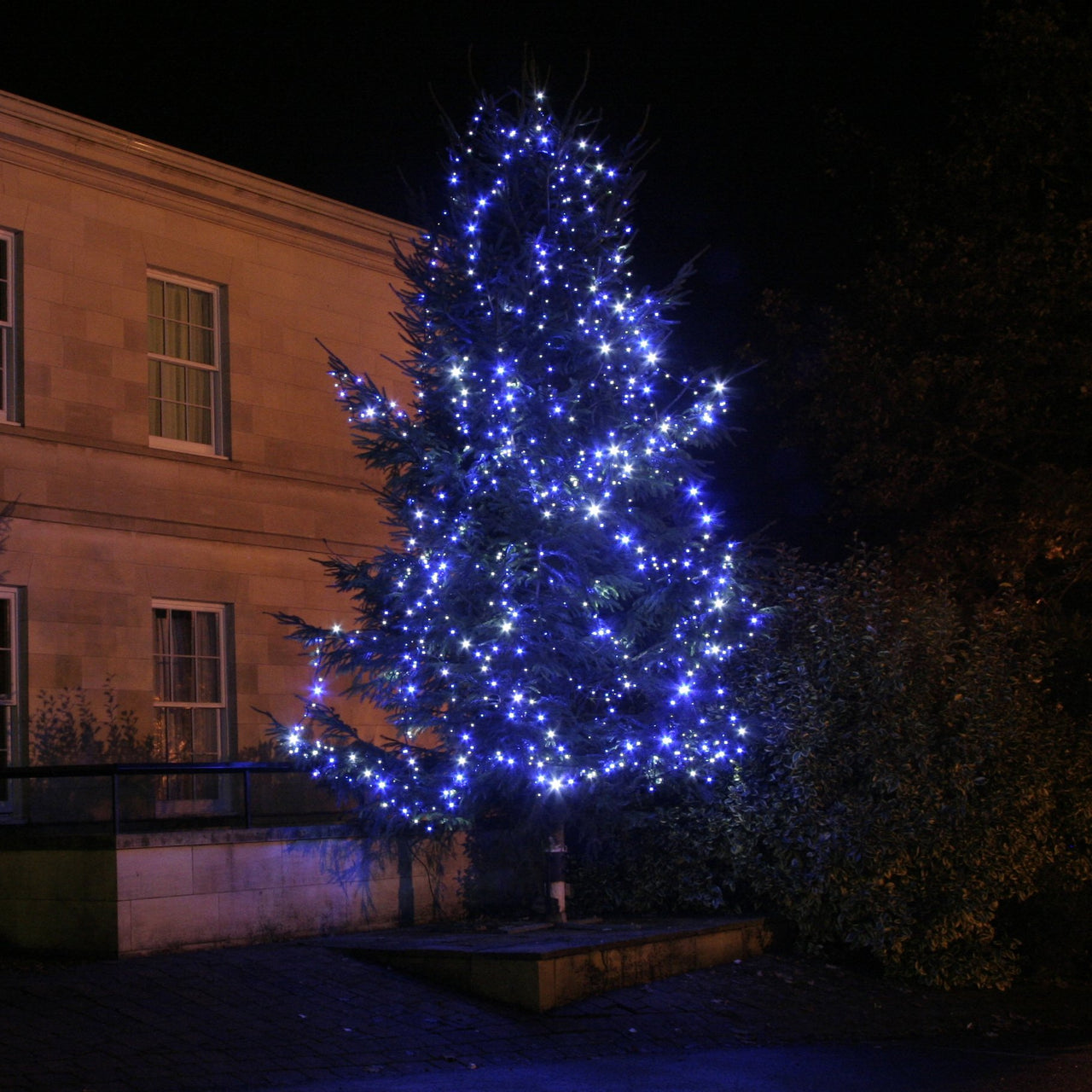 Guirlande Lumineuse 150m 1500 LED Bleue et Blanche Câble Noir Raccordable Série Pro