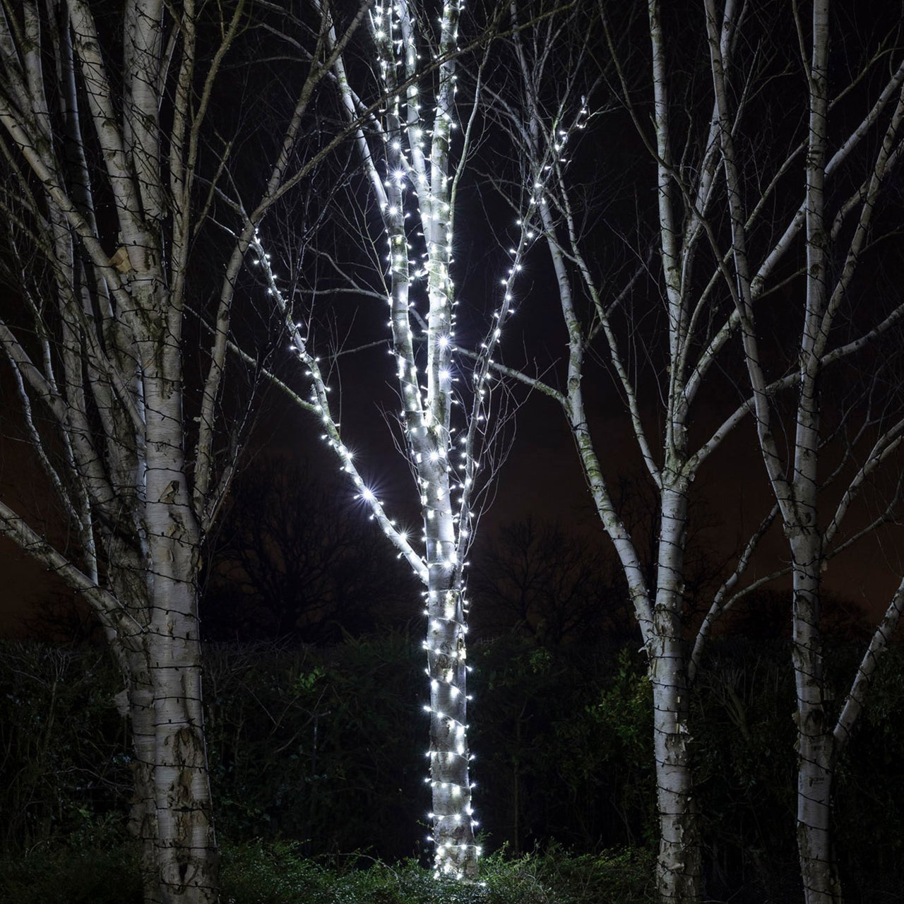 Guirlande lumineuse LED extérieure grande longueur 1000 LED blanc
