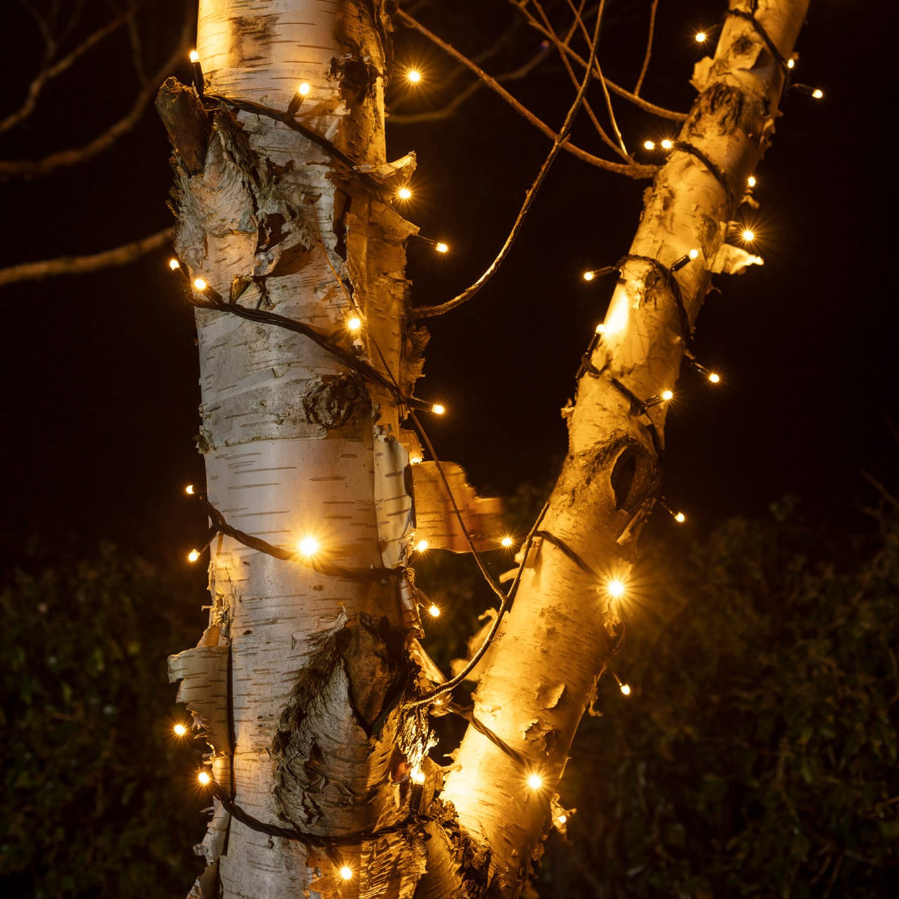 Guirlande lumineuse LED extérieure 10 m blanc chaud